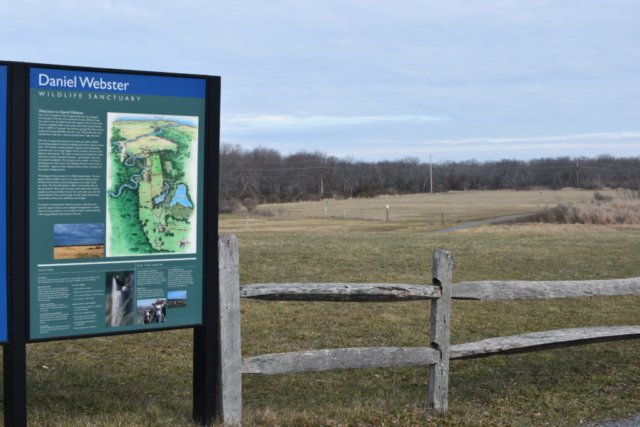 Daniel Webster Wildlife Sanctuary Marshfield Daniel Webster Wildlife Sanctuary Marshfield
