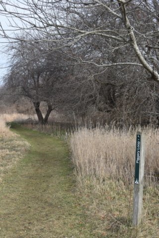 DSC_0187