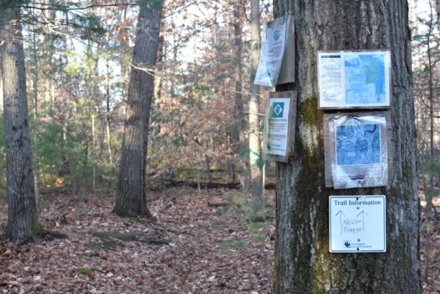 Nelson Memorial Forest Marshfield Nelson Memorial Forest Marshfield