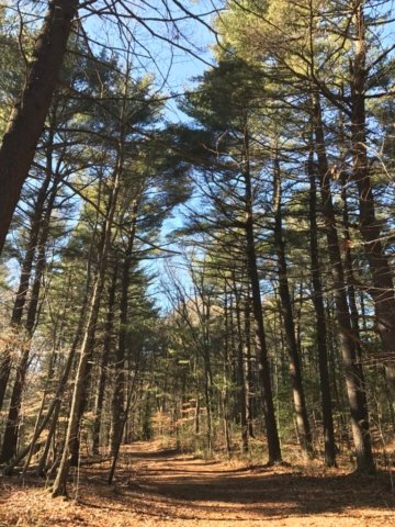 Wheelright Park Cohasset Wheelright Park Cohasset