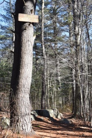 Wheelright Park Cohasset Wheelright Park Cohasset