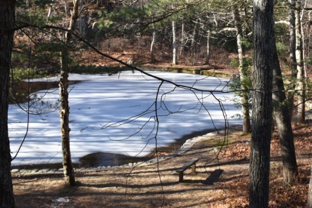 Wheelright Park Cohasset Wheelright Park Cohasset