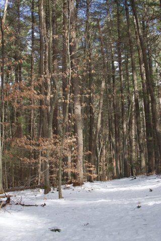DSC_0701