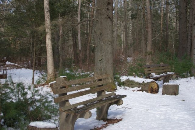 DSC_0713