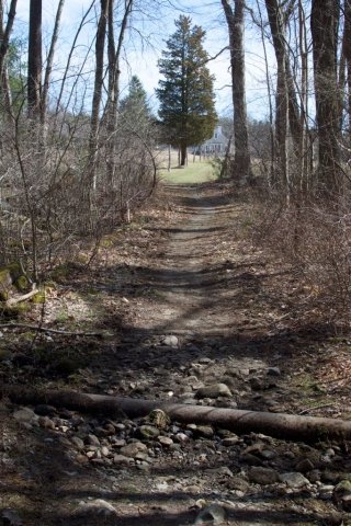 DSC_0739