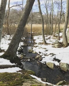 Great Brewster Trail Cohasset