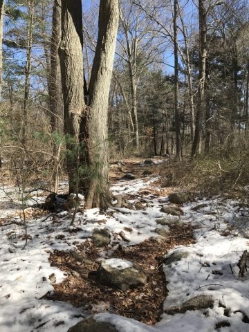 Photo Mar 18, 11 24 30 AM