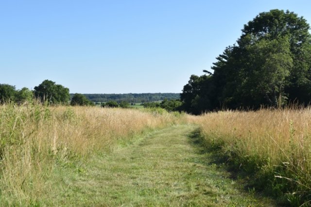DSC_0794