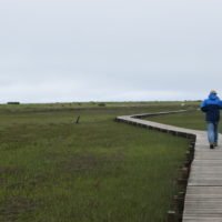 The Spit Scituate - South Shore Trails