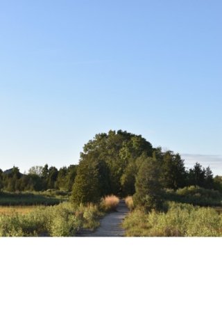 DSC_1371