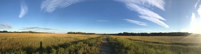 IMG_3520