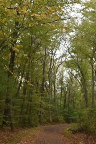 DSC_1501