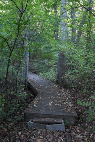 DSC_1639