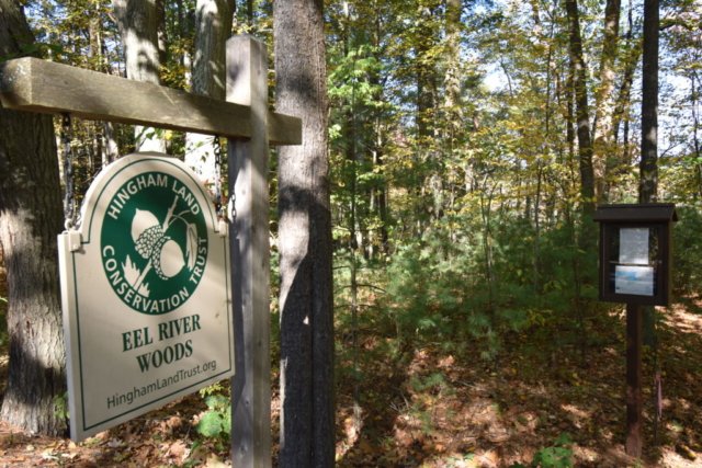 DSC_1669