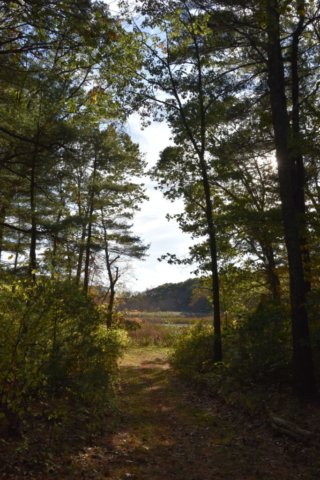 DSC_1834