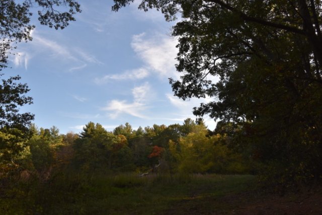 DSC_1842