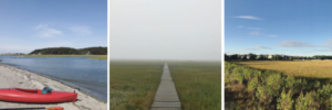 South Shore Trails Newsletter