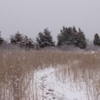 Driftway Scituate