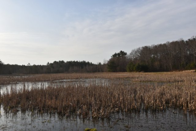 DSC_0032