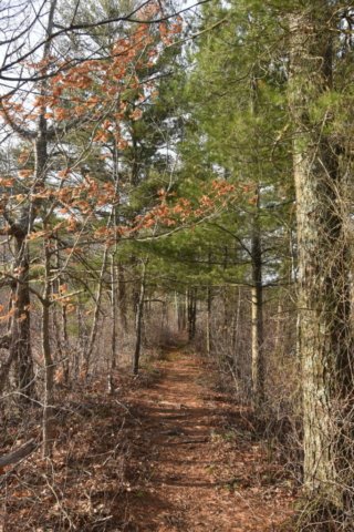 DSC_0040